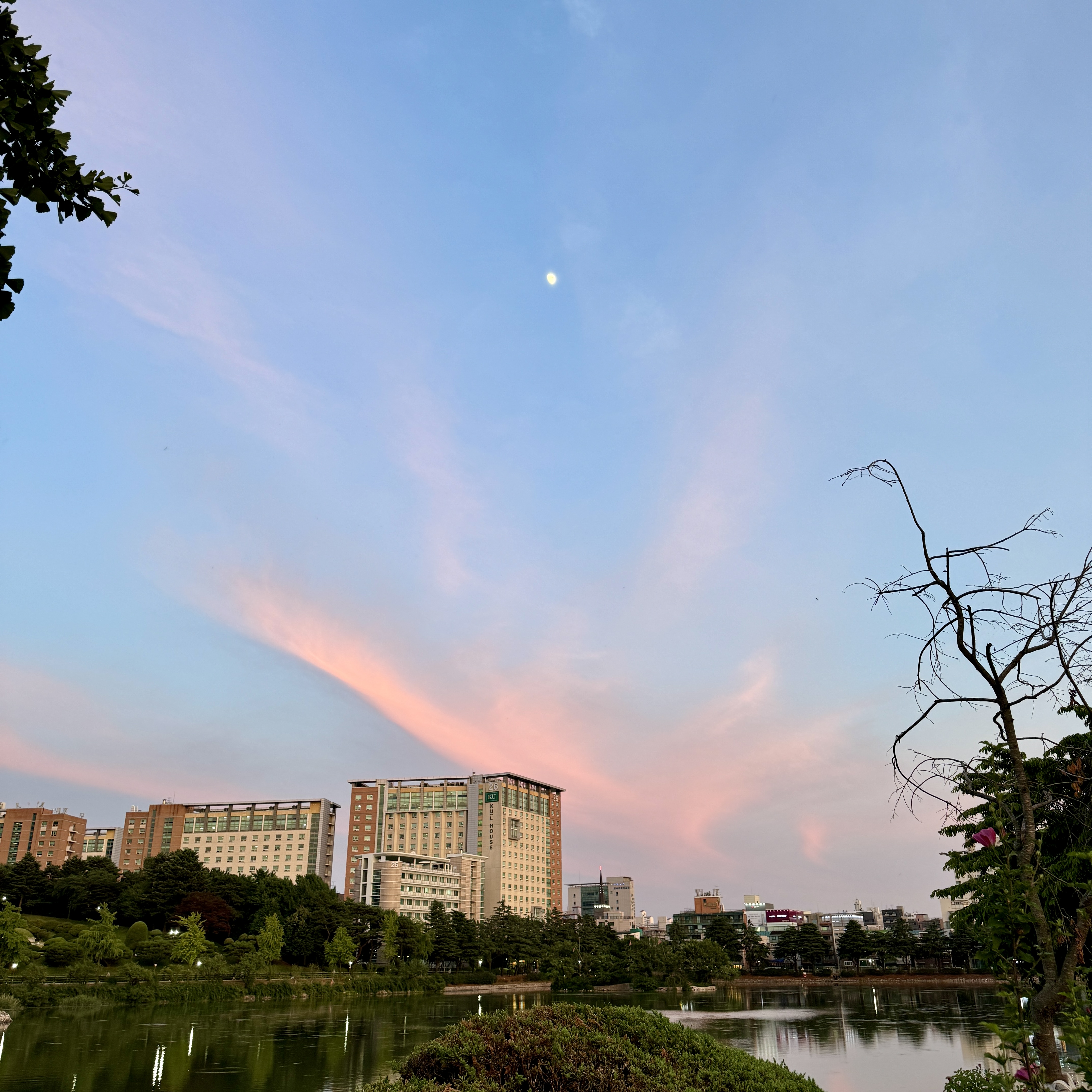 그냥 갤러리에 있던 사진 중에서 이쁜 걸로 한 장 가져왔습니다.